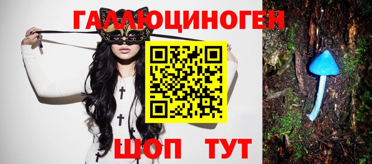 Псилоцибиновые грибы Psilocybe Мыски