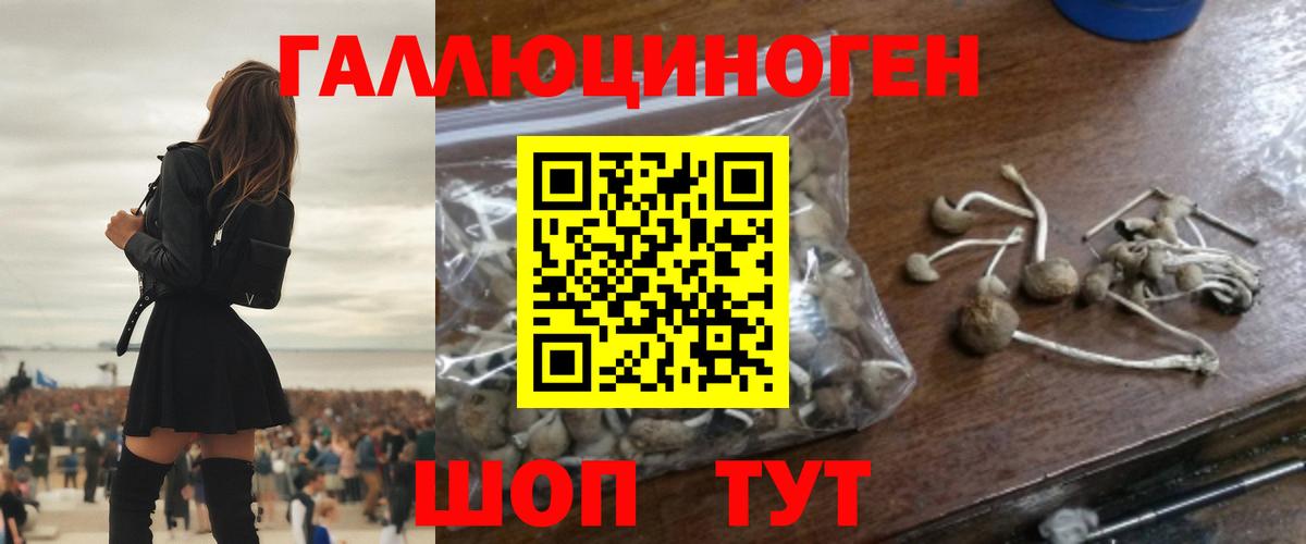 Мыски  Галлюциногенные грибы прущие грибы  Галлюциногенные грибы GOLDEN TEACHER  Вход с VPN 